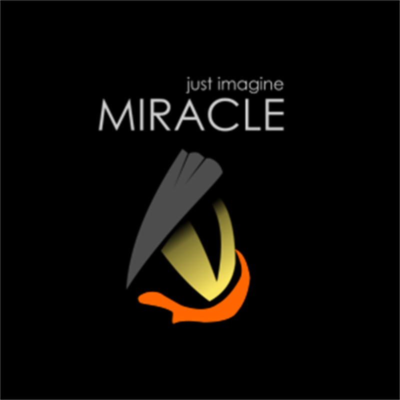 Miracle ERP